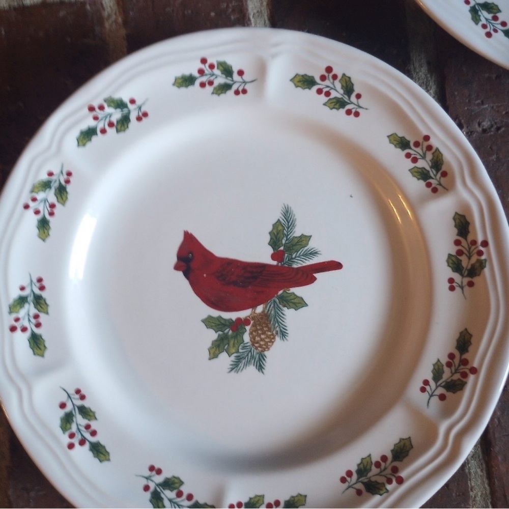 Cardinal Design Salad Plate Set - Picture 5 of 8